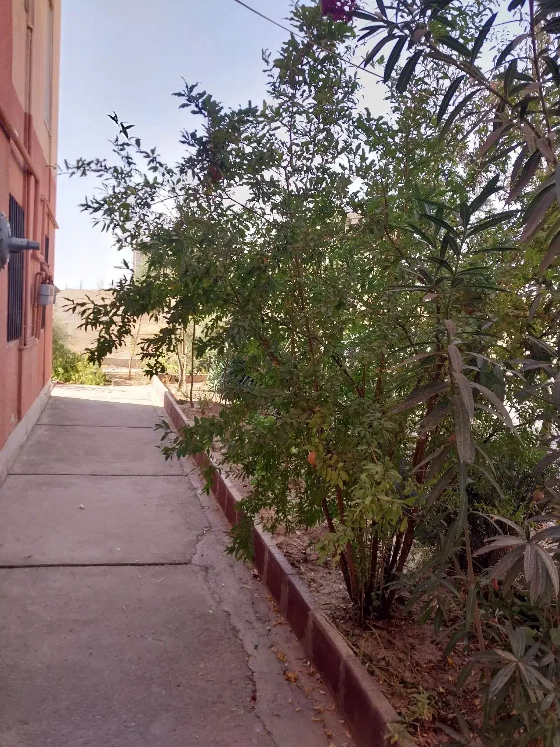 اپارتمان ۶۰ متری تکخوابه فول امکانات مالک هستم|فروش آپارتمان|هشتگرد, شهرک گلخانه|دیوار