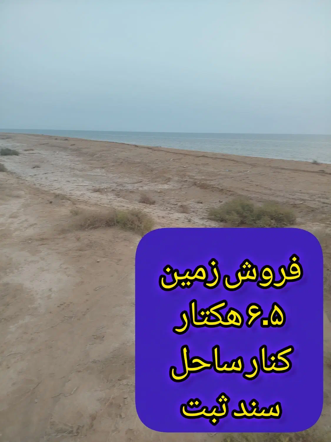 فروش ۶.۵ هکتار زمین پلاک اول ساحل|فروش دفتر صنعتی، کشاورزی، تجاری|دلوار, |دیوار