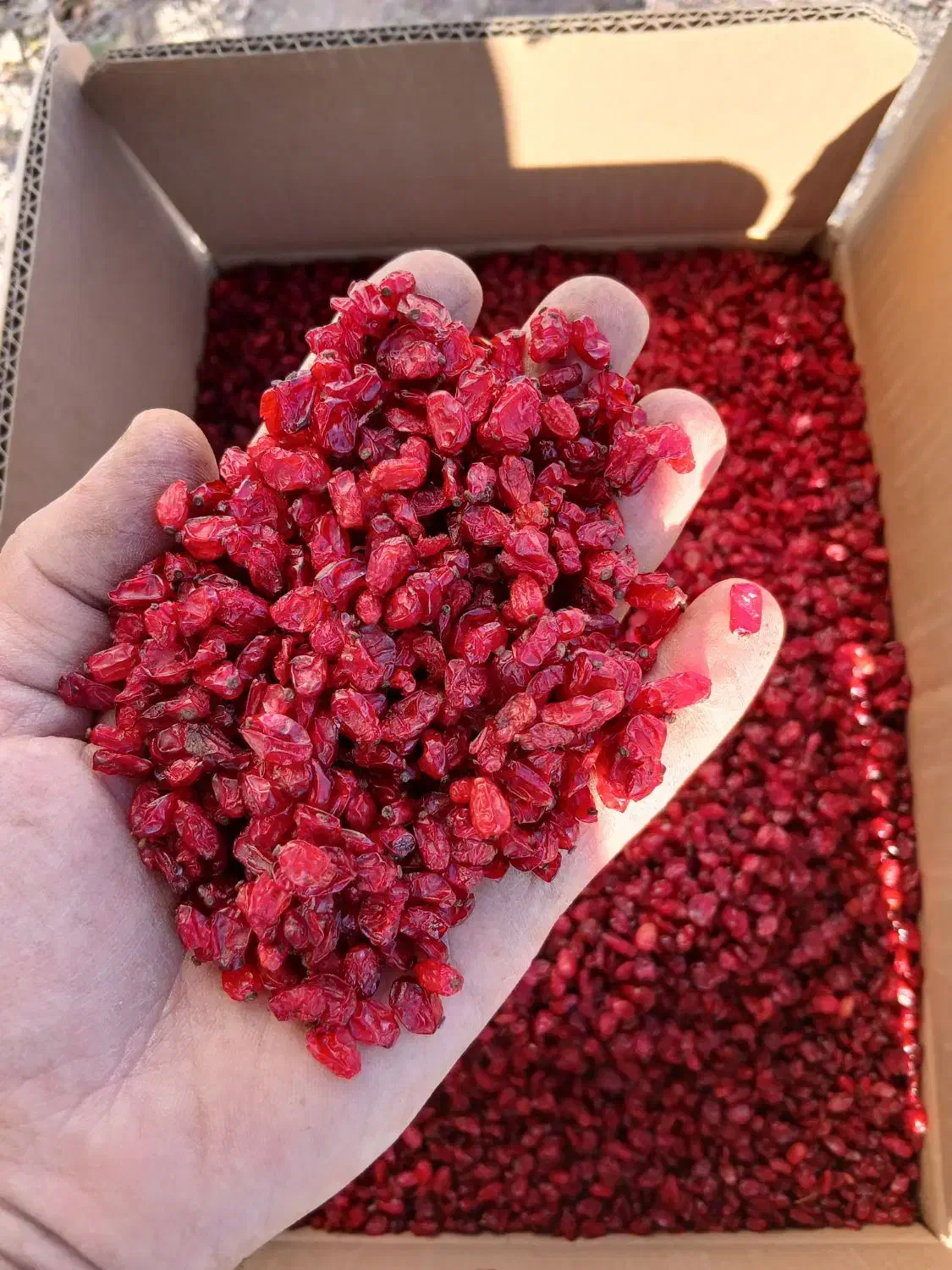 زرشک اناری درجه یک|خوردنی و آشامیدنی|درمیان, |دیوار