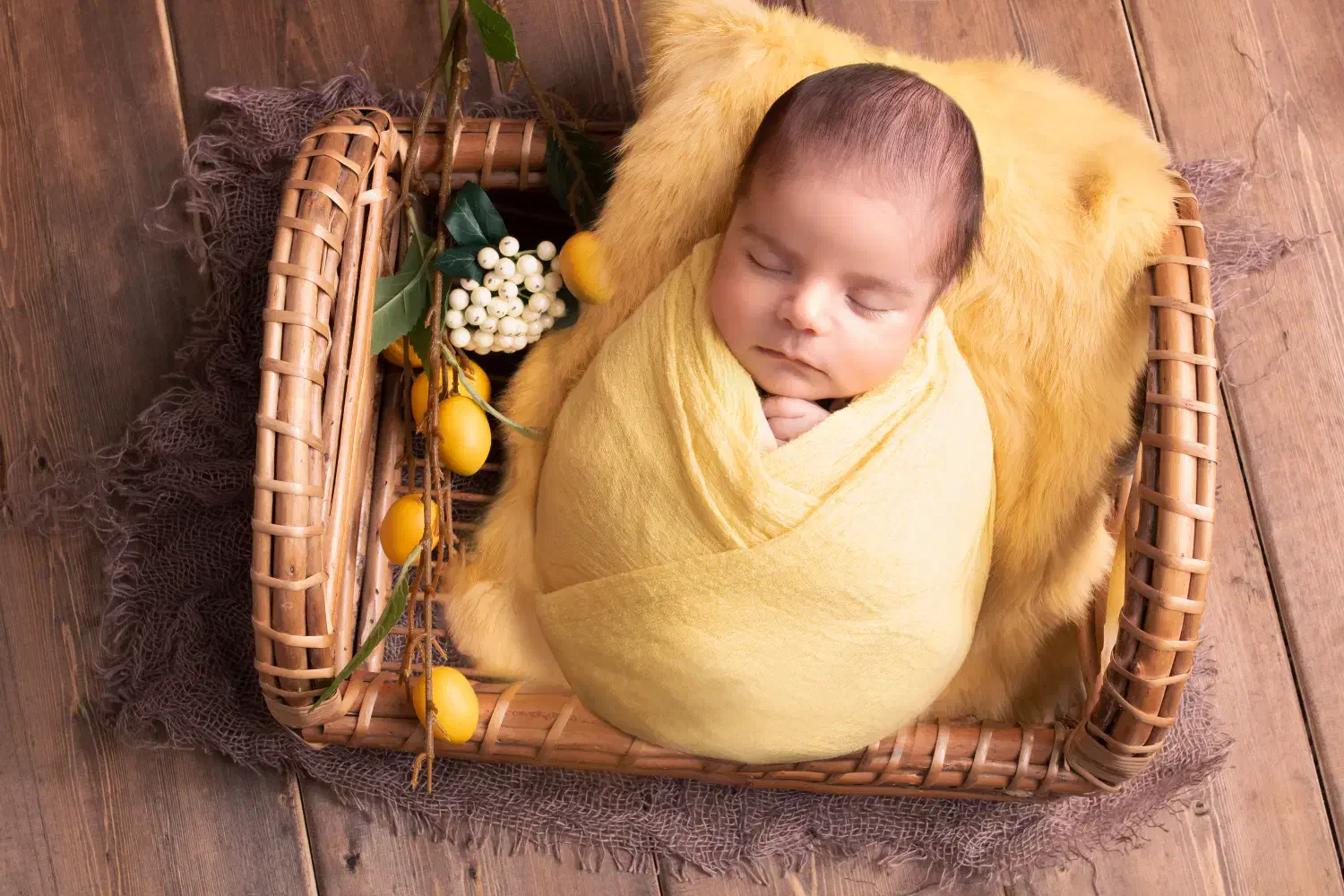 عکاسی نوزاد در منزل شما|خدمات پذیرایی، مراسم|شیراز, شهرک والفجر|دیوار