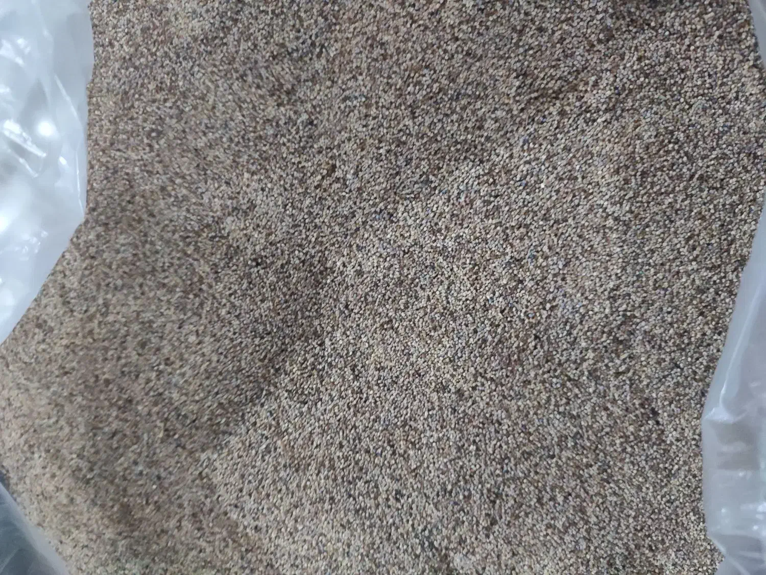 بذر|گل و گیاه طبیعی|کوهدشت, |دیوار