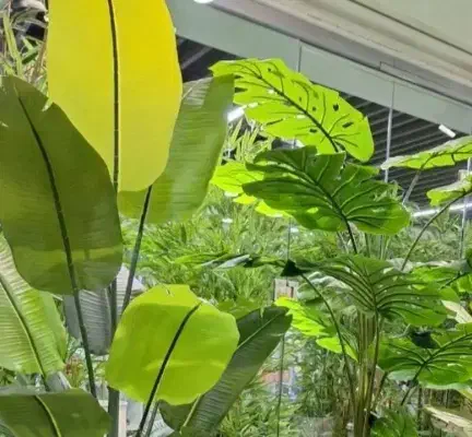 تمامی لاین های آرایشی|خدمات آرایشگری و زیبایی|خارک, |دیوار