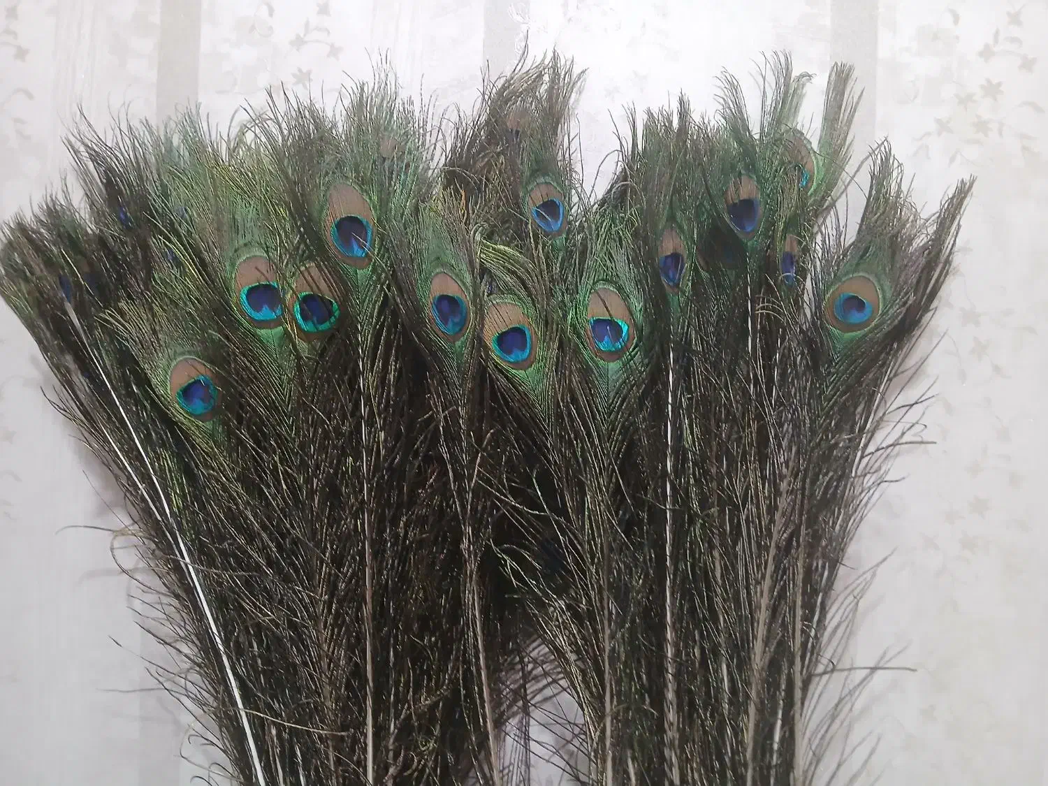 علامت .مزون .گلفروشی|صنایع دستی و سایر لوازم تزئینی|مریوان, |دیوار