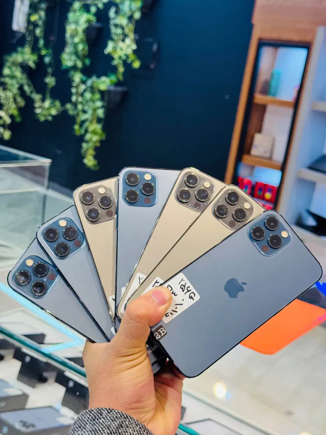 Iphone 12 pro 256 g اقساطی|موبایل|یزد, |دیوار