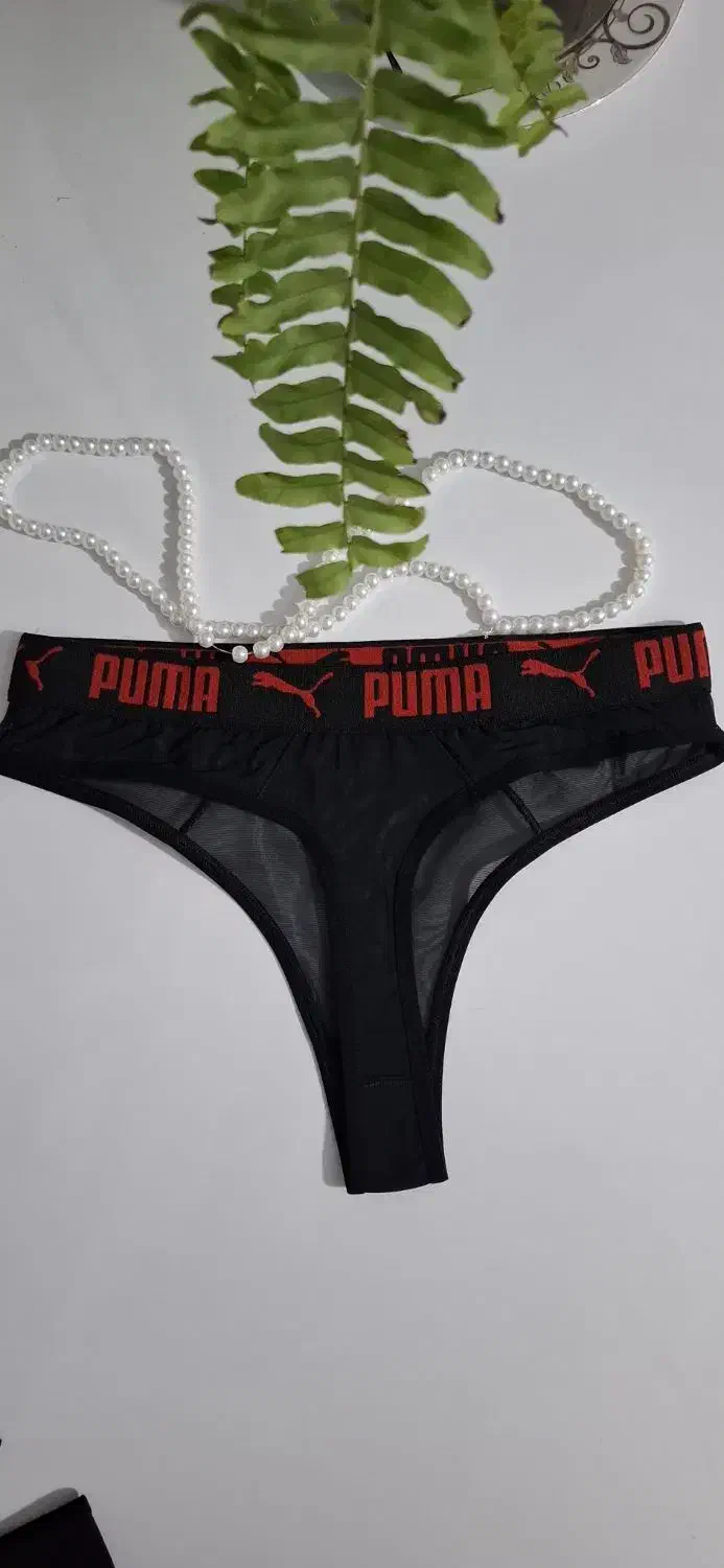 شیکپوش|لباس|ساری, |دیوار