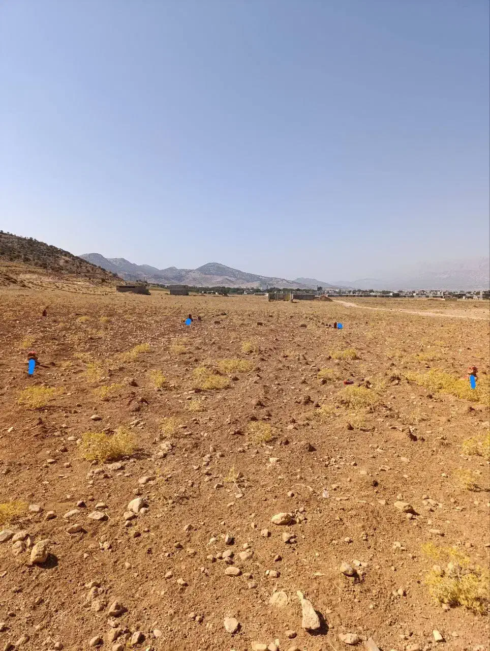 فروش ملک|فروش زمین و ملک کلنگی|یاسوج, |دیوار