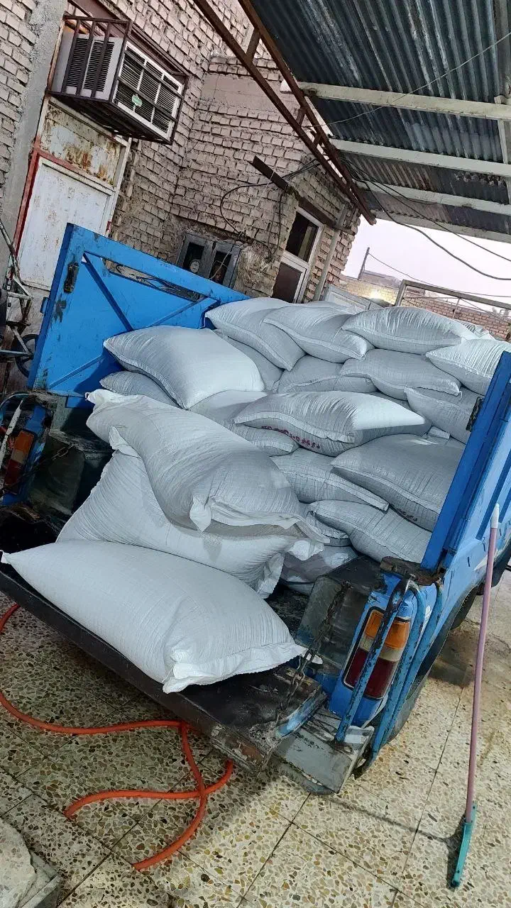 گندم برات آبیاری بوجاری وسم زدایی شده|عمدهفروشی|باوی, |دیوار