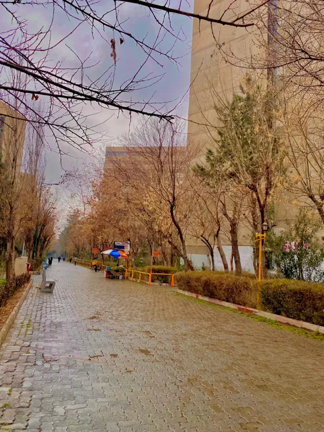 ۳ خوابه یک طرف دید فاز۲|فروش آپارتمان|تهران, اکباتان|دیوار