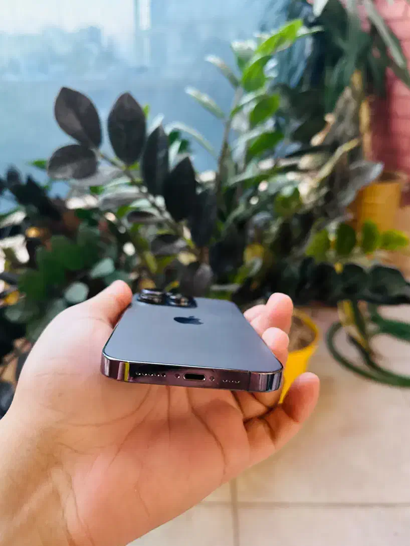 آیفون ۱۴ پرو رجیستر شده دو سیم کارت|موبایل|کرمان, |دیوار