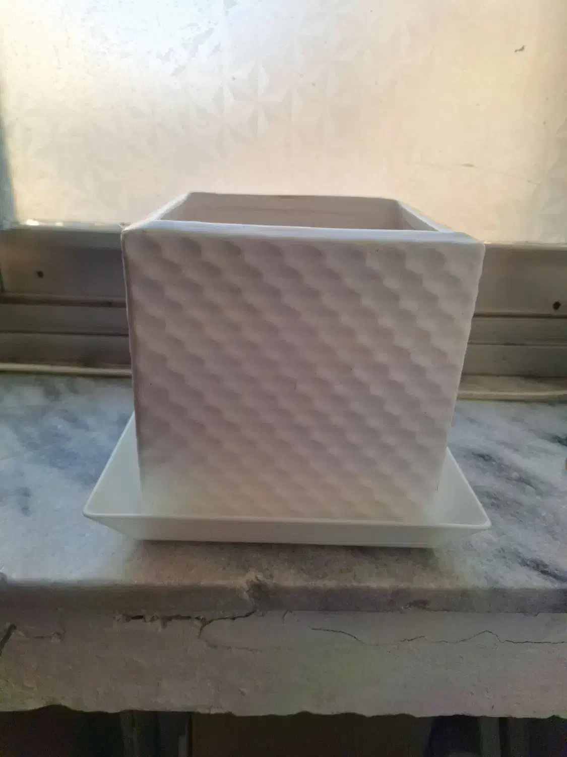 گلدان سرامیک|گل و گیاه طبیعی|مشهد, شفا|دیوار