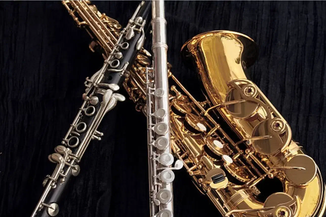 فروش سازهای بادی کلارینت ساکسیفون و ترومپت و فلوت|سازهای بادی|ارومیه, |دیوار