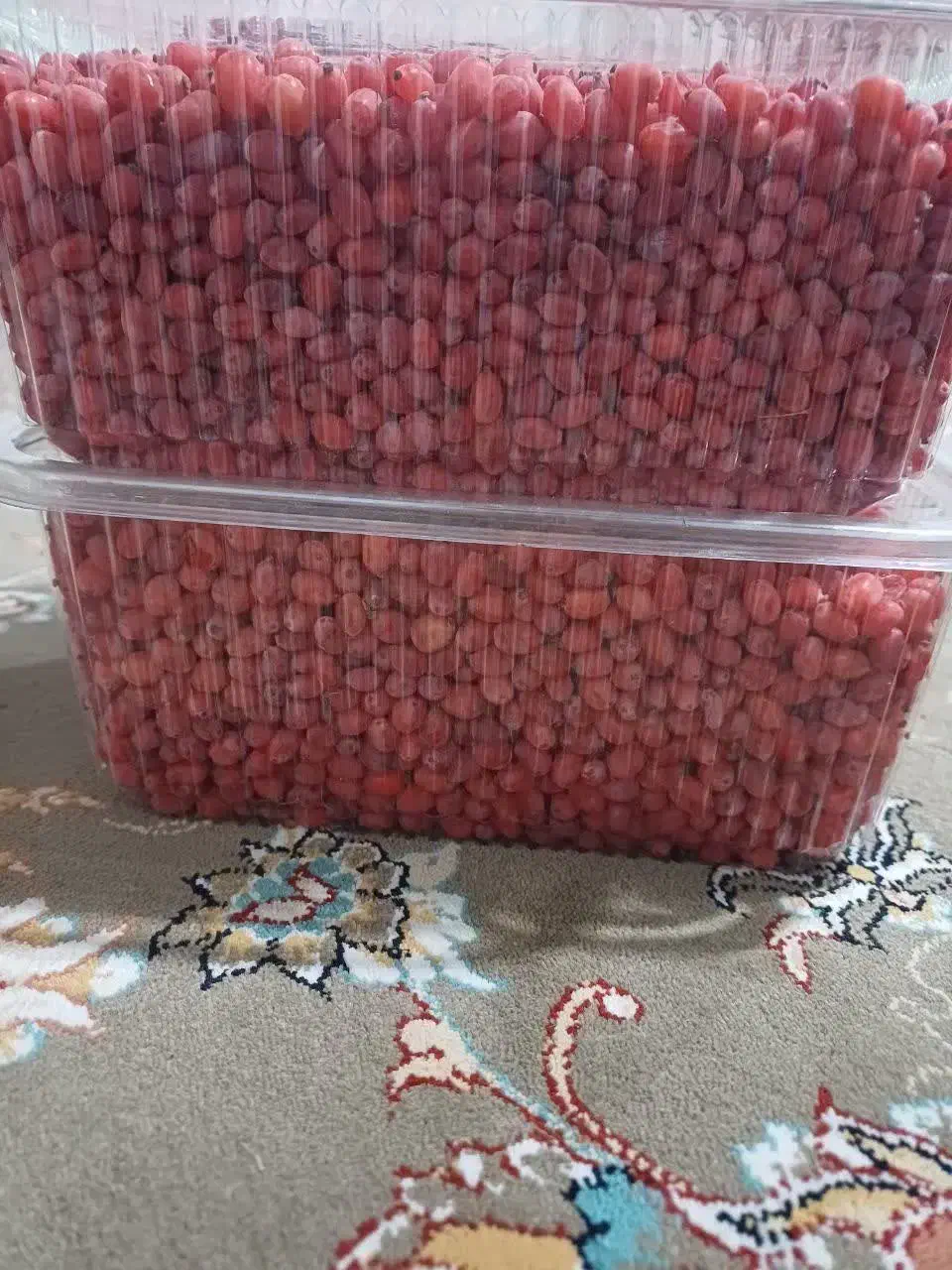 زرشک دونه شده بادست بدون دم و برگ قیمت هرکیلو۲۰۰|خوردنی و آشامیدنی|مشهد, ترمینال|دیوار