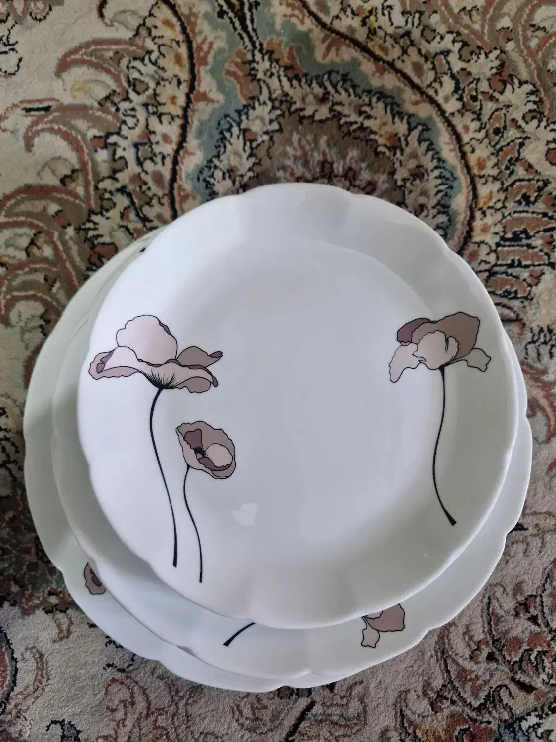 اکروپال|ظروف سرو و پذیرایی|کرمانشاه, |دیوار