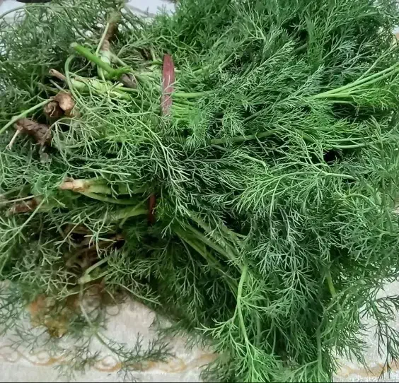 سبزی|خوردنی و آشامیدنی|سرخنکلاته, |دیوار