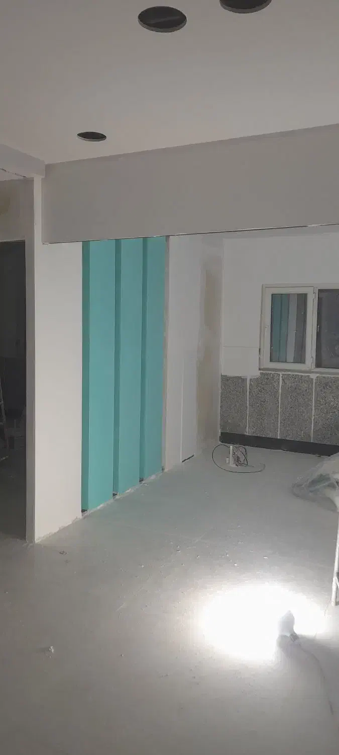 رنگ آمیزی اصولی ساختمان|خدمات پیشه و مهارت|دوگنبدان, |دیوار