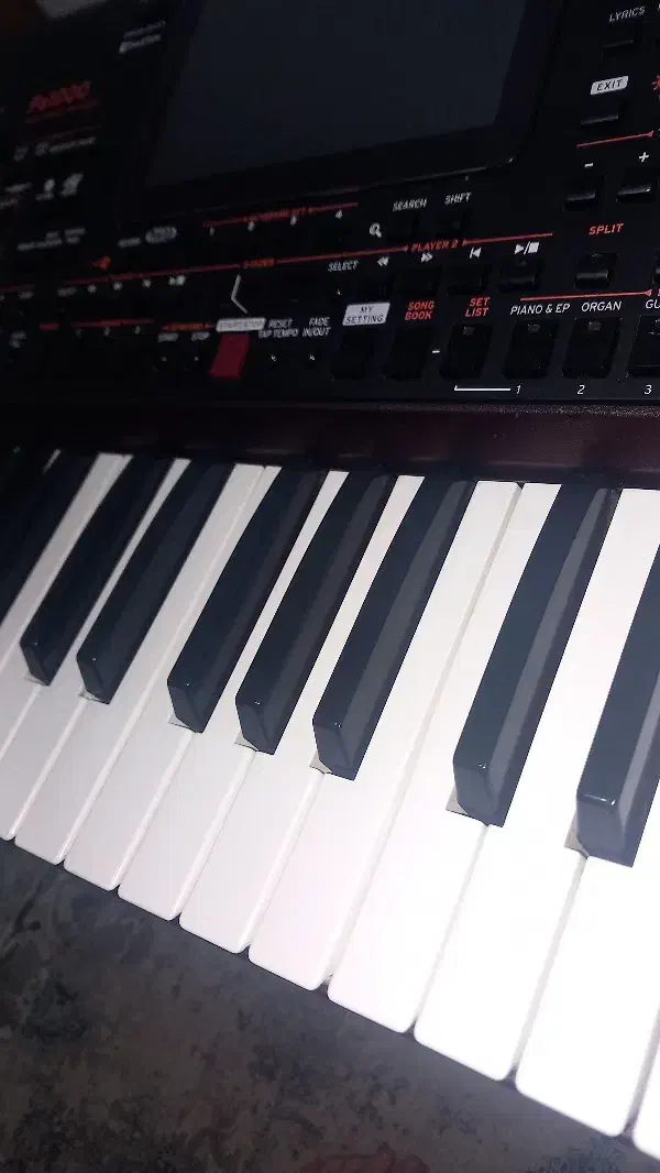 ارگ pa1000|پیانو، کیبورد، آکاردئون|گرگان, |دیوار