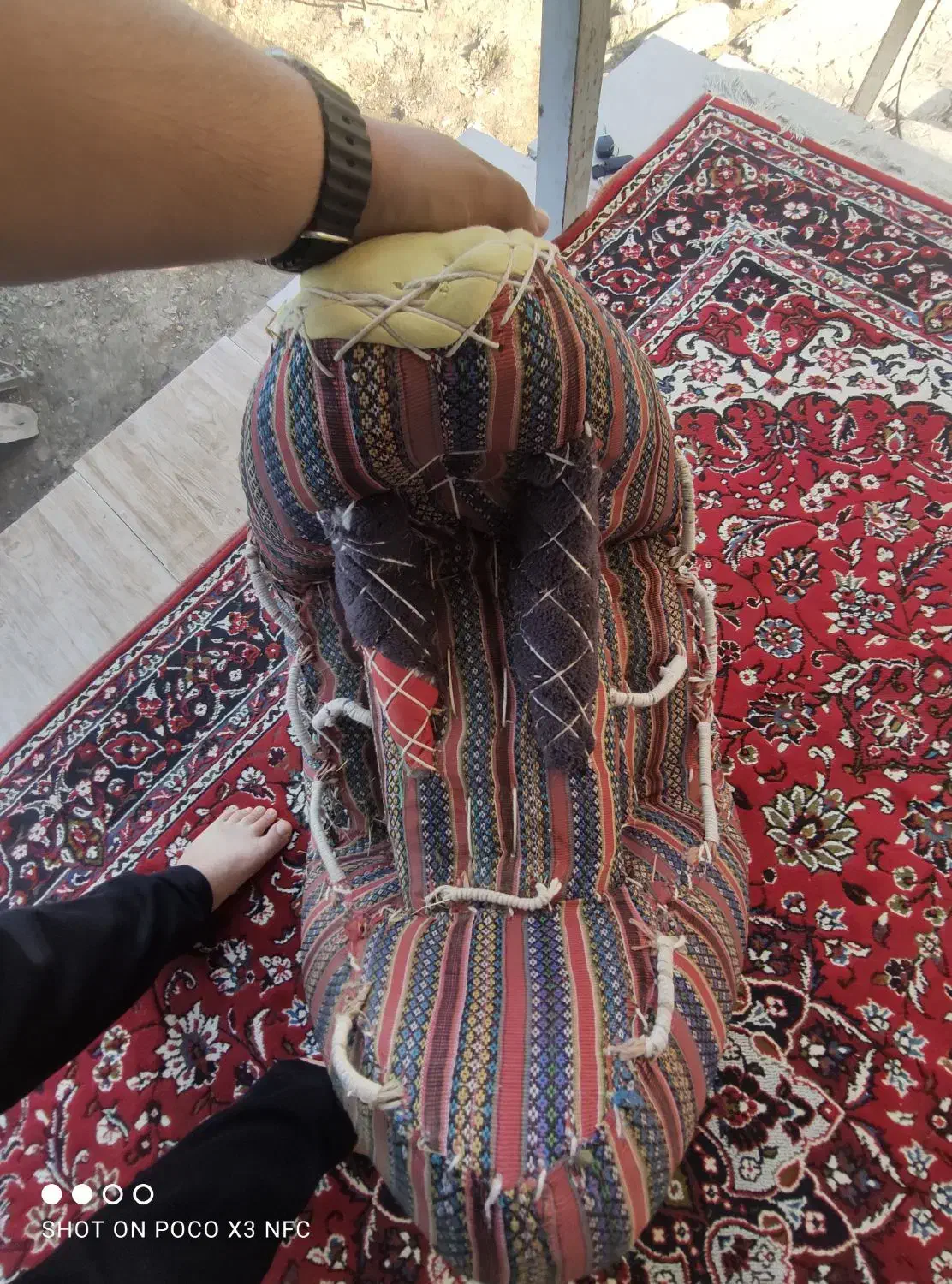 پالن اسب  زین اسب|اسب و تجهیزات اسبسواری|سیاهکل, |دیوار