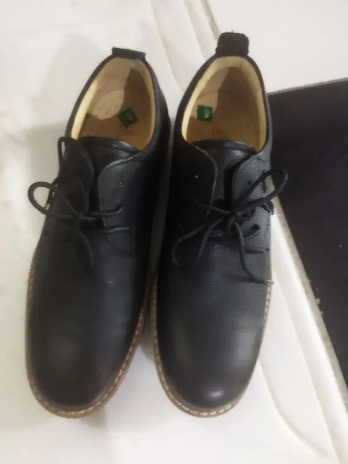 کفش مردانه مدل البرز|کیف، کفش، کمربند|شیراز, محراب|دیوار