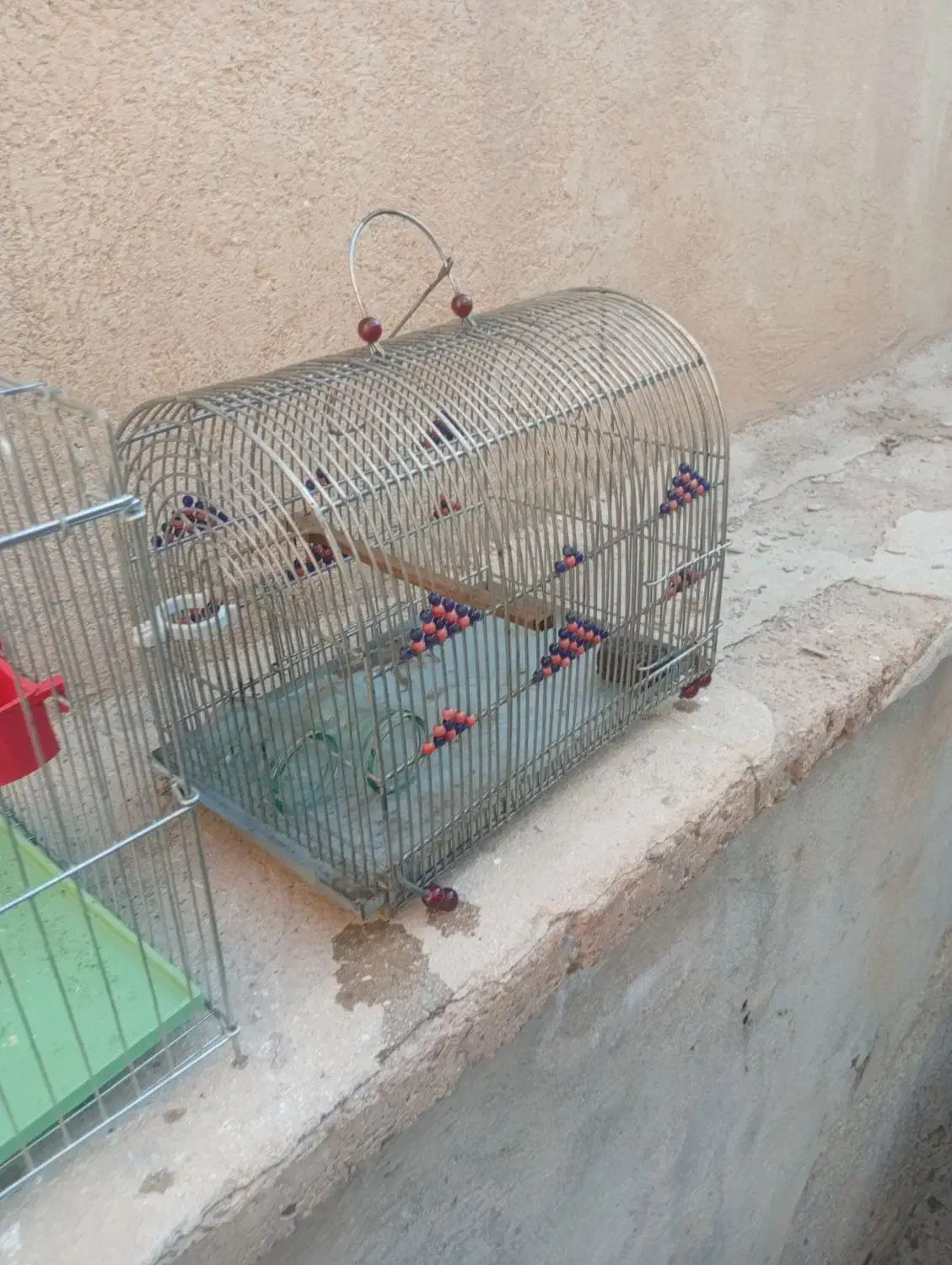 قفس|لوازم جانبی حیوانات|شیراز, دارالرحمه|دیوار