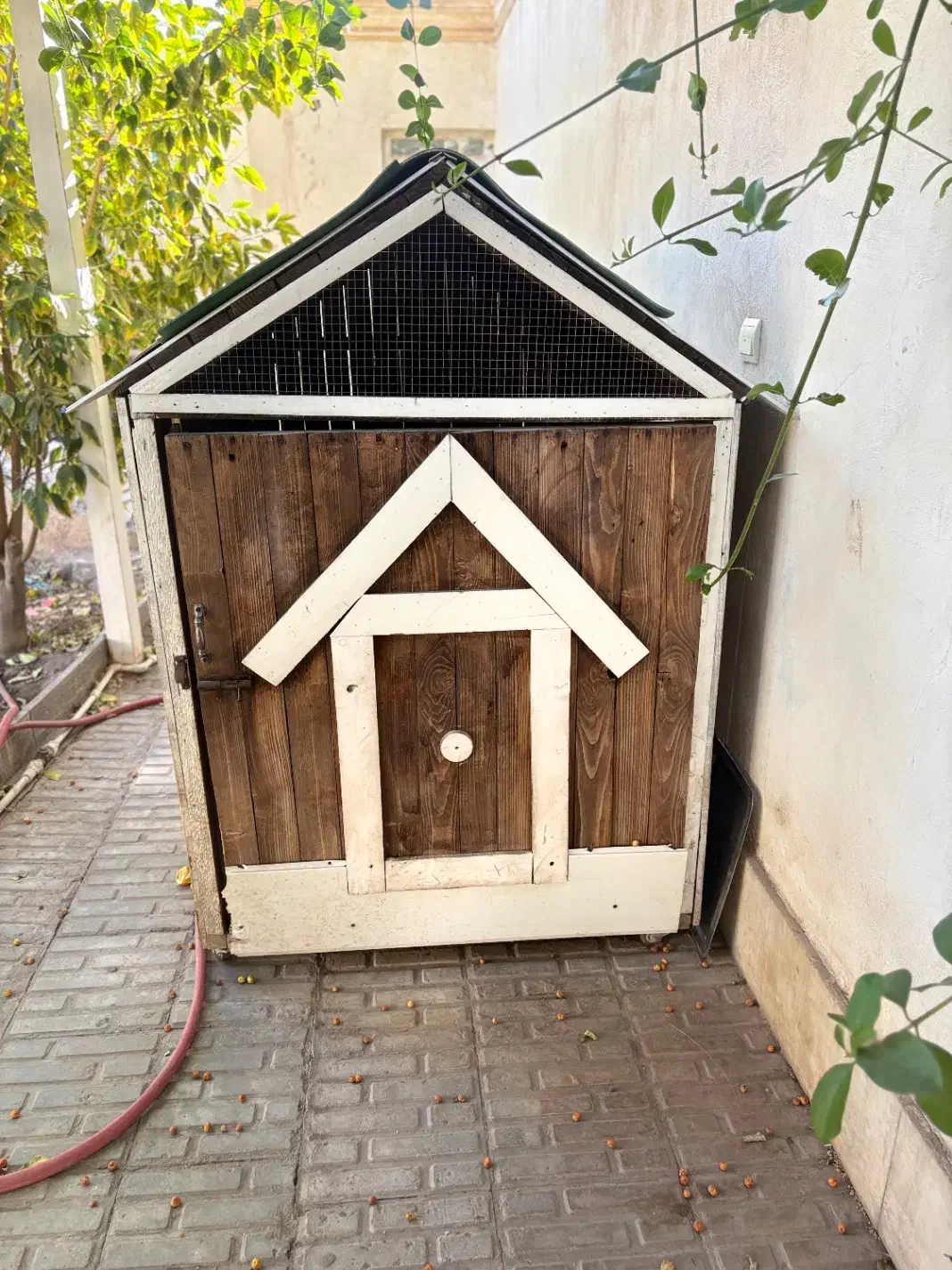 قفس|لوازم جانبی حیوانات|بم, |دیوار