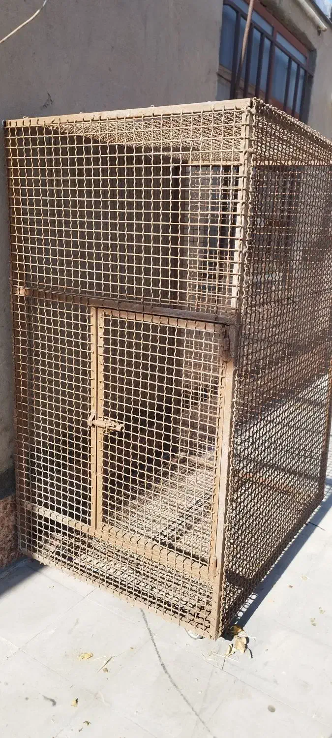 قفس|لوازم جانبی حیوانات|زرند, |دیوار