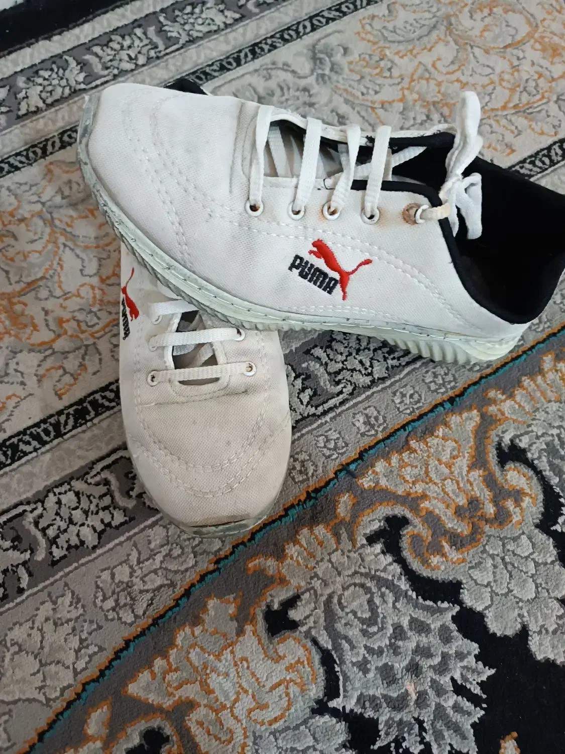 سه جفت کفش اسپرت ونیم پوت ومجلسی چرمی سایز ۴۲ و۴۳|کیف، کفش، کمربند|مشهد, نظام دوست|دیوار