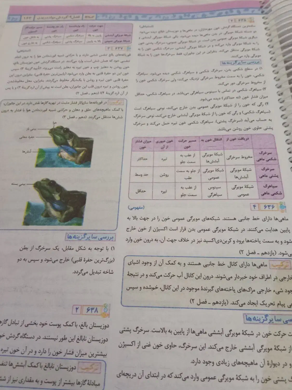 کتاب زیست|کتاب و مجله ادبی|تبریز, |دیوار