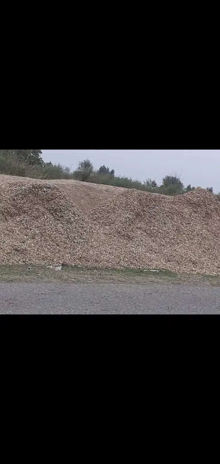 علف بادام زمینی وپوست غلاف شده به قیمت تفاهم|خدمات باغبانی و درختکاری|پارسآباد, |دیوار