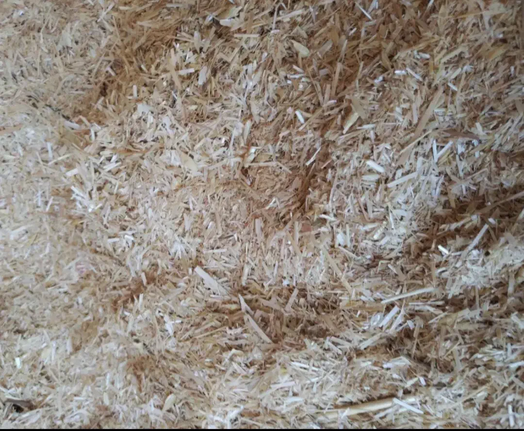 کاه نرم آماده بار ماشین|حیوانات مزرعه|کاشمر, |دیوار