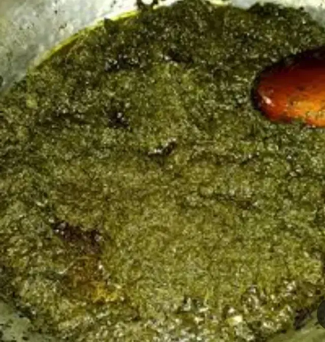 فروش|خوردنی و آشامیدنی|تهران, بهارستان|دیوار