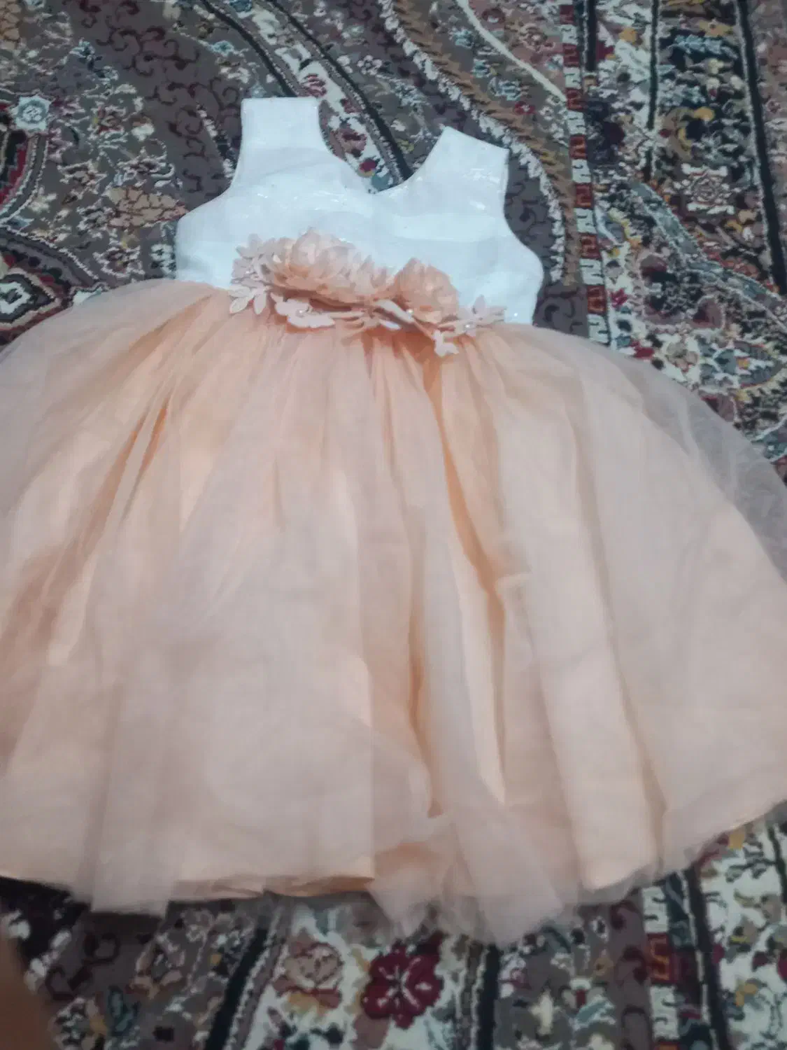 لباس‌مجلسی|لباس|ایذه, |دیوار