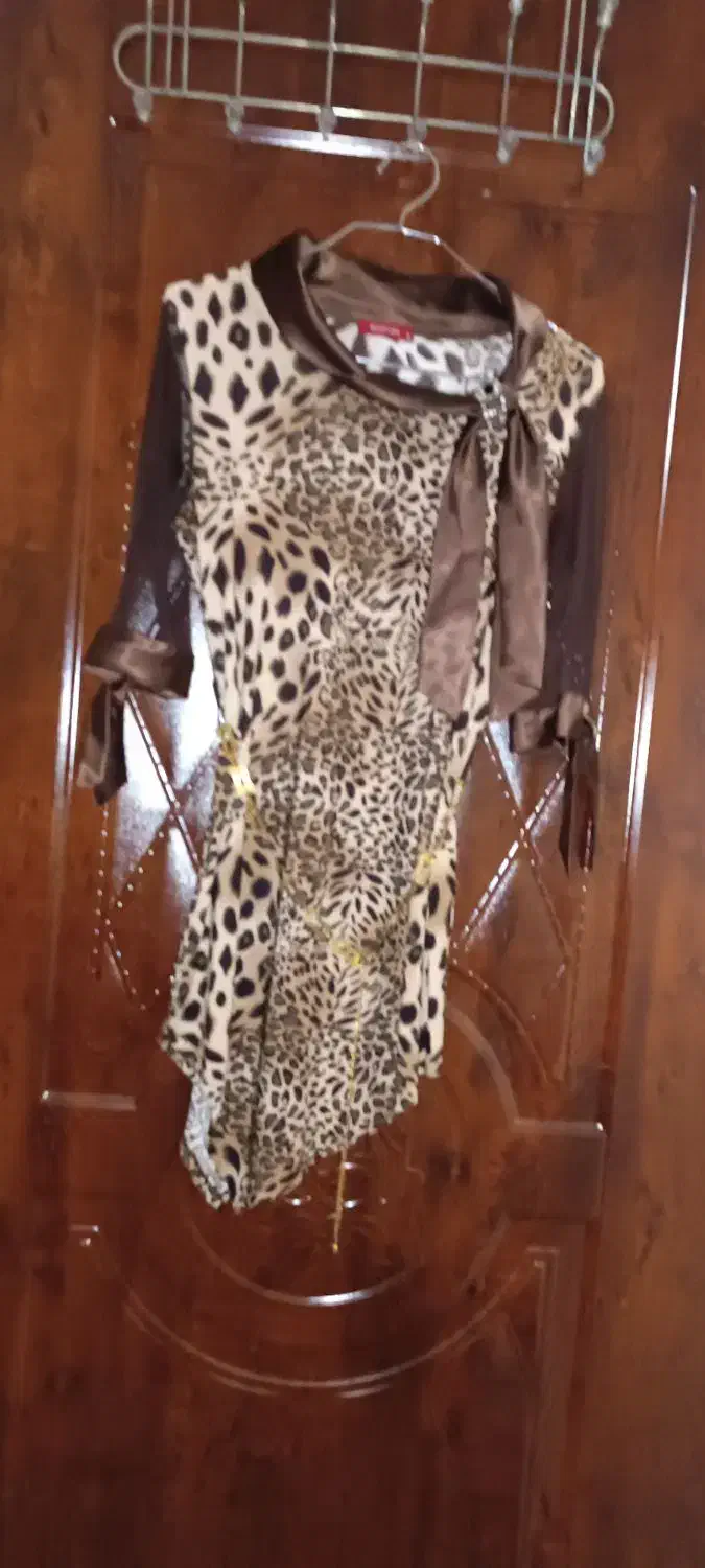 لباس زنانه|لباس|ساری, |دیوار