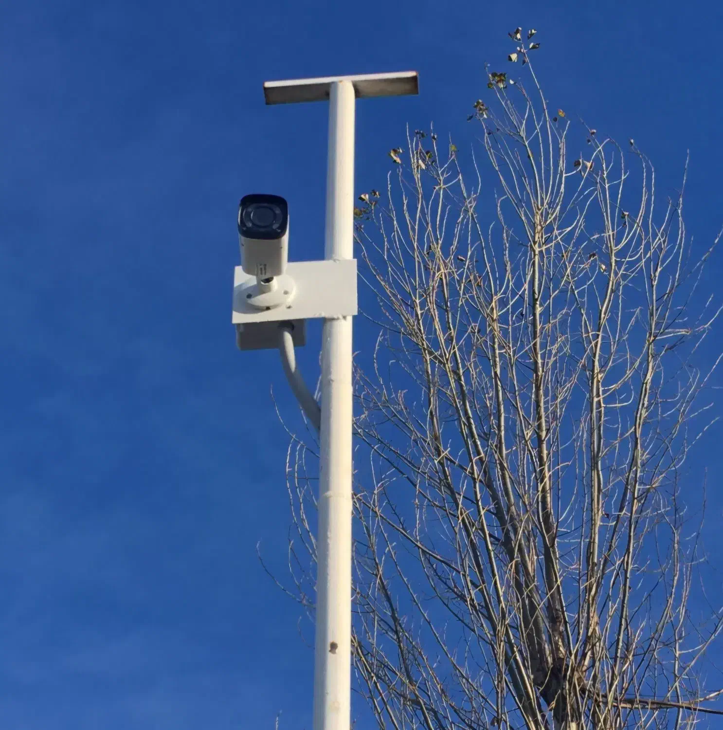 دوربین مداربسته و دزدگیر *نقد اقساطی بدون سود *|دوربین مداربسته|کوار, |دیوار