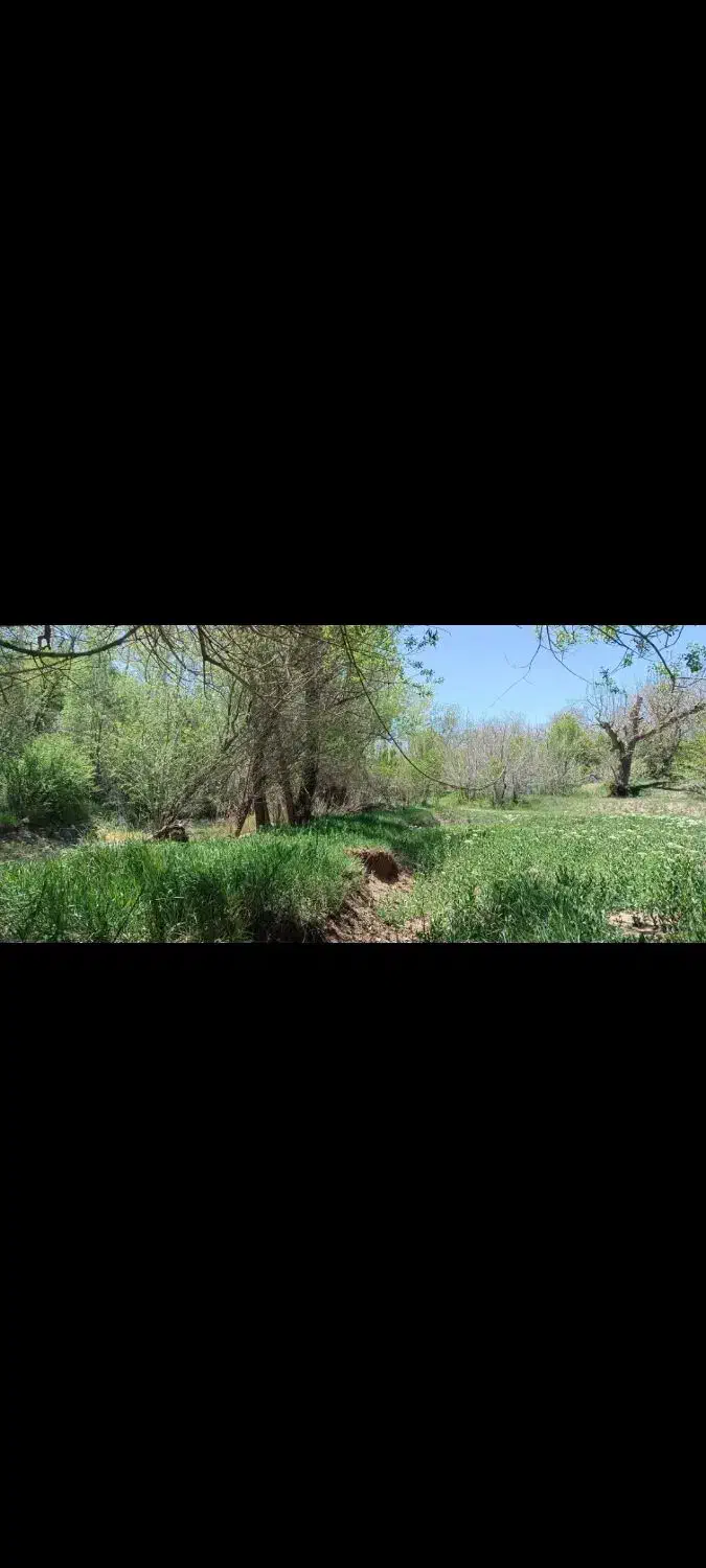 باغ زمین|فروش زمین و ملک کلنگی|خرقان, |دیوار