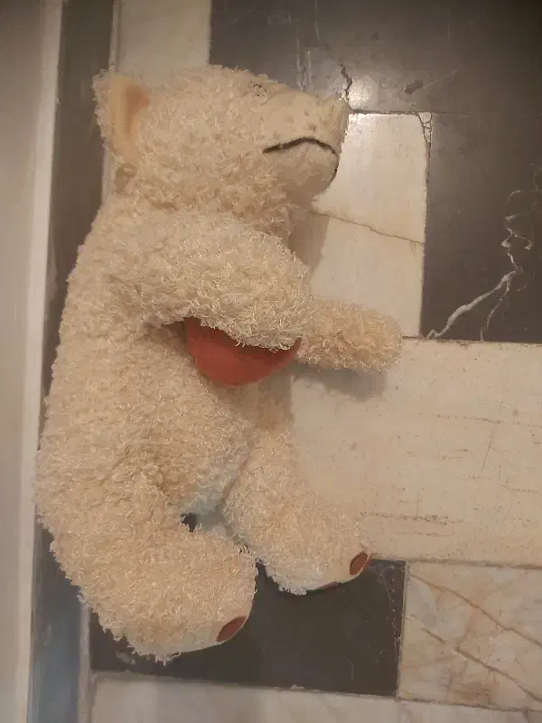 عروسک|اسباب‌بازی بچه|ساری, |دیوار