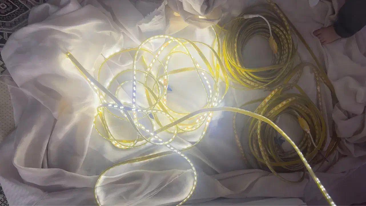 ریسه شلنگی|ریسه و چراغ تزئینی|مشهد, کوشش|دیوار