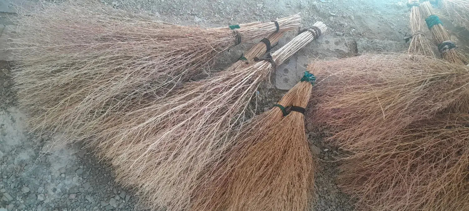 جارو دستی|لوازم نظافت|سلماس, |دیوار