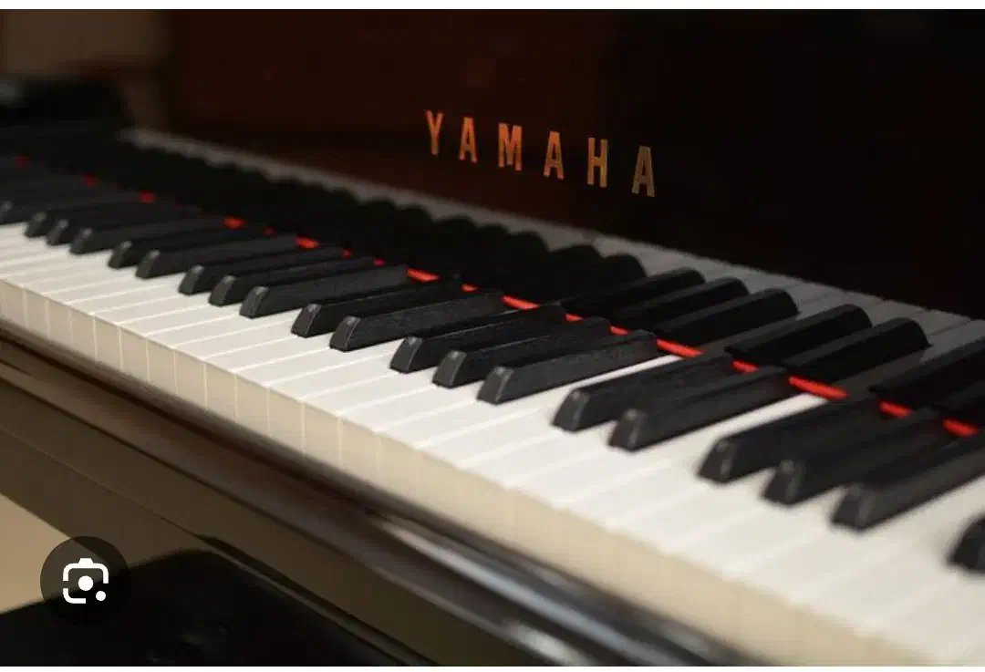 آموزش پیانو خصوصی برای بانوان و کودکان|خدمات آموزشی|کرج, گلشهر|دیوار