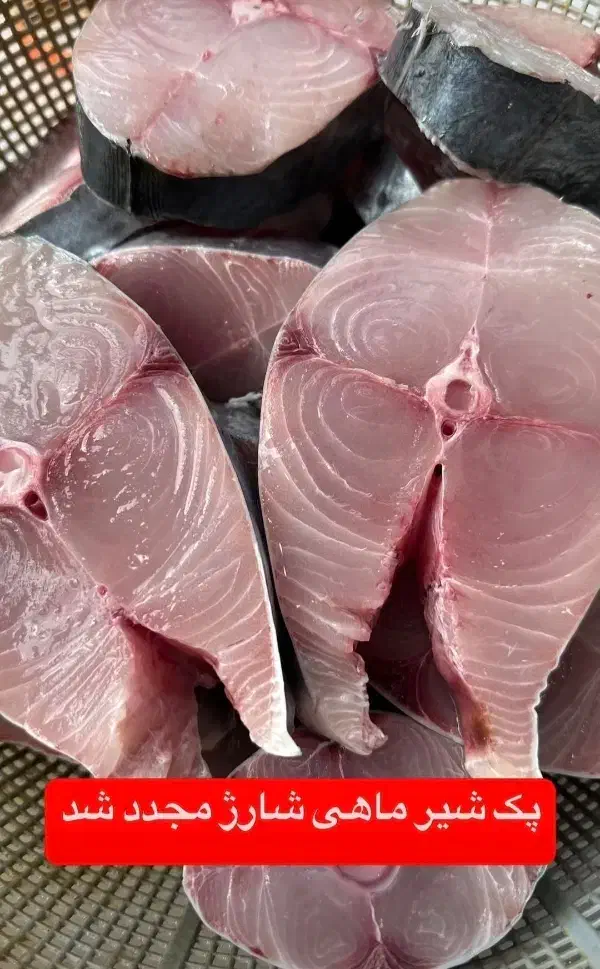 ماهی و میگو بندر|خوردنی و آشامیدنی|زرقان, |دیوار