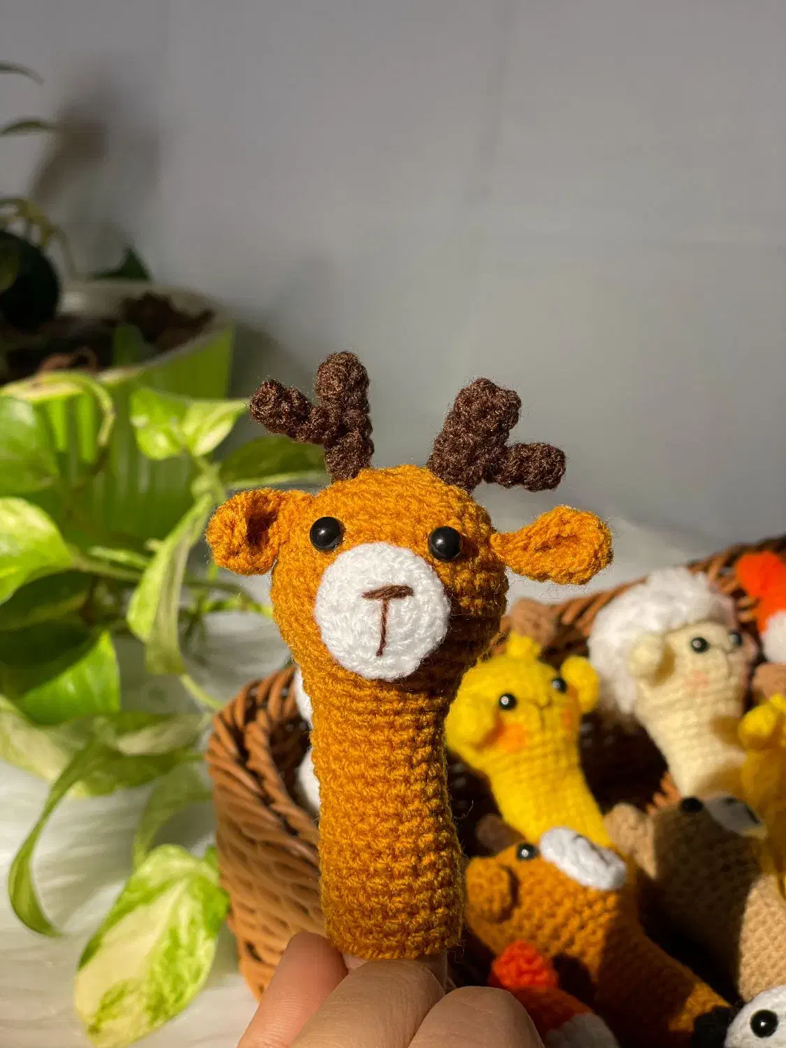 عروسک انگشتی|اسباببازی|نیشابور, فردوسی جنوبی|دیوار