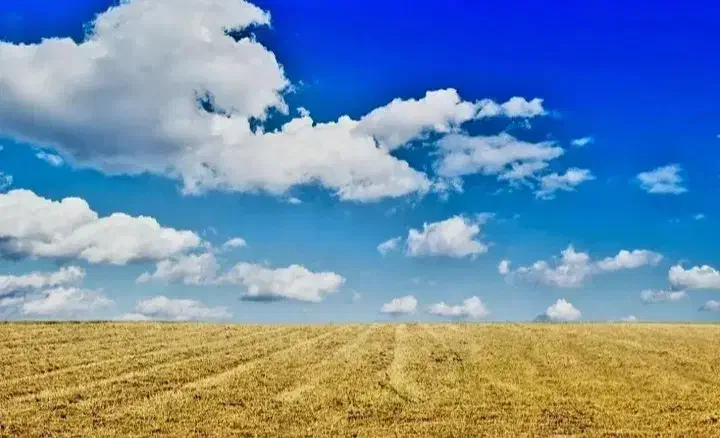 خانه|فروش زمین و ملک کلنگی|سرخس, |دیوار