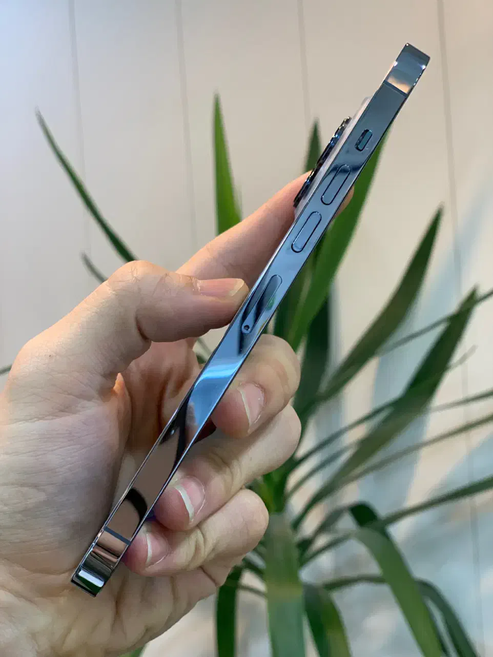 آیفون ۱۳ پرومکس iPhone 13 Promax|موبایل|کرج, گوهردشت|دیوار