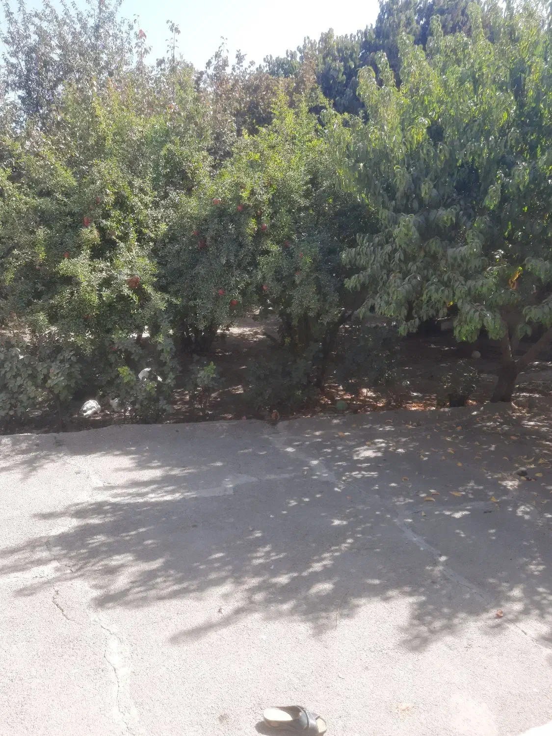 هزار متر ویلا داخل بافت|فروش خانه و ویلا|هشتگرد, هشتگرد قدیم|دیوار