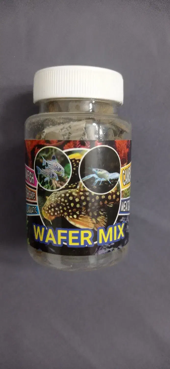 غذای کف خوار|ماهی|فولادشهر, C3|دیوار