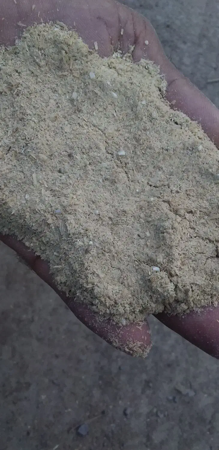 سلام سبوس برنج یا آکوته دانه دار محصول امسال هست|لوازم جانبی حیوانات|رودبنه, |دیوار