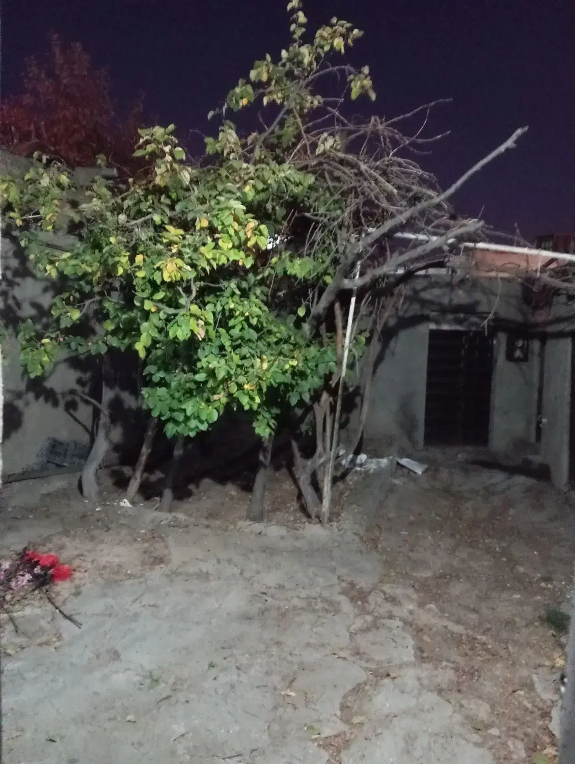 اجاره خانه کلنگی در سربازخانه|اجارهٔ خانه و ویلا|اهر, |دیوار