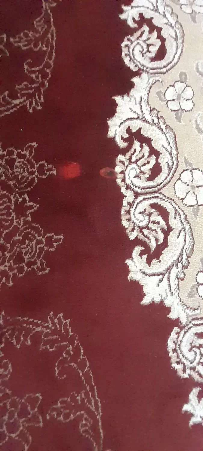 قالی 12متری 2500|فرش|آمل, |دیوار