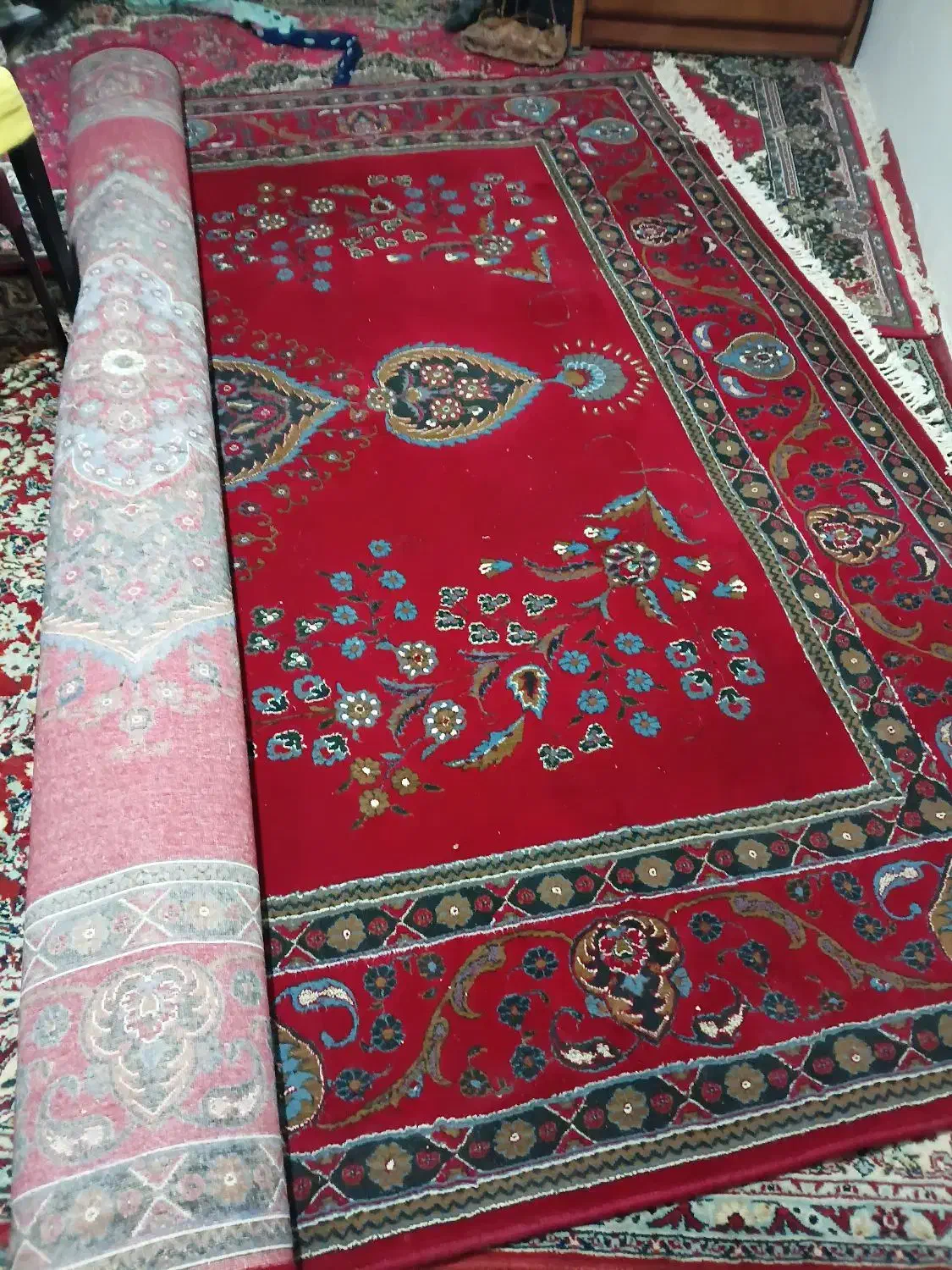 قالی ۱۲ متری|فرش|کنگاور, |دیوار