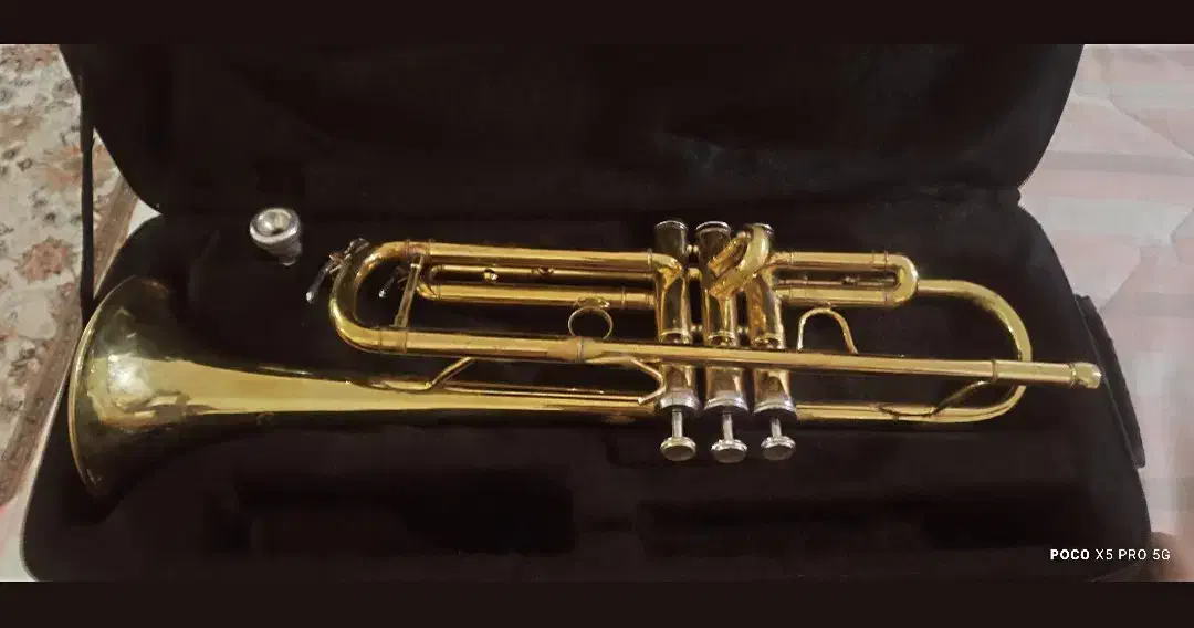 ترومپت|سازهای بادی|قم, نوقطار|دیوار