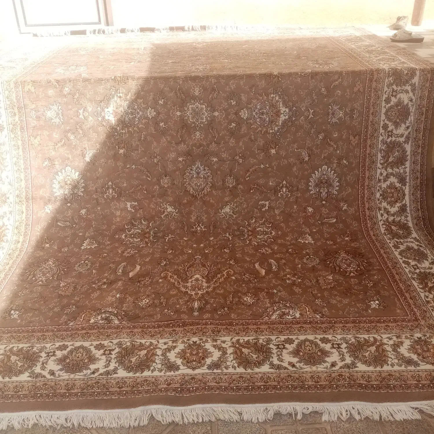 فرش 12 متری|فرش|ساوه, |دیوار